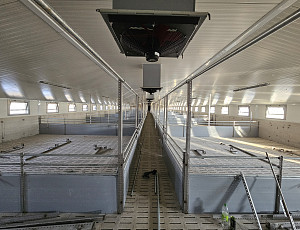 Rekonstrukce haly výkrmu prasat